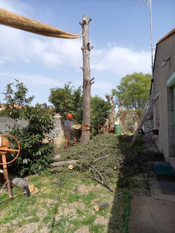 société d'élagage et entretien de jardins et de palmiers Agde CAP ELAGAGE