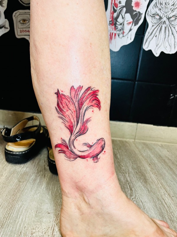 Tattoo Poisson / couleur chez Entre les lignes à Mèze